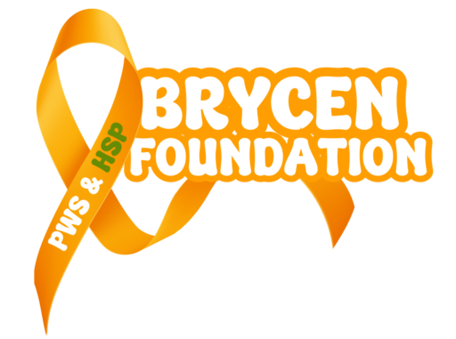 Brycen Foundation